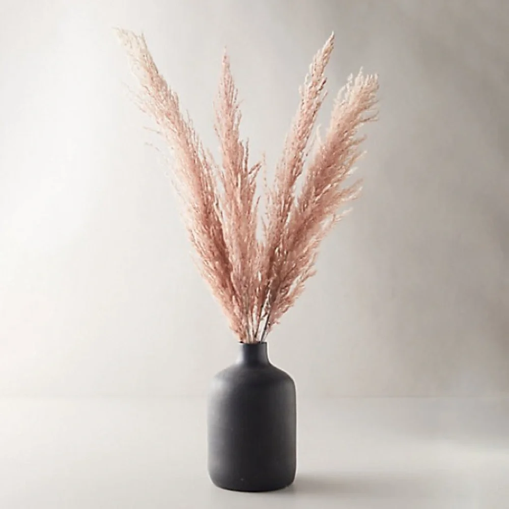 Anthropologie urban outfitters new Preserved pampas grass pink nwt